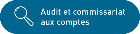 COLLABORATEUR AUDIT ET EXPERTISE COMPTABLE